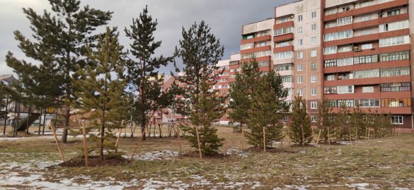 Озеленение сквера Самусенко в Правобережном районе завершилось